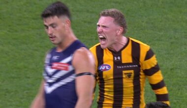 AFL Finals 2026: James Sicily spray to Patrick Voss, video, Hawthorn qualifying final win over Fremantle, latest news