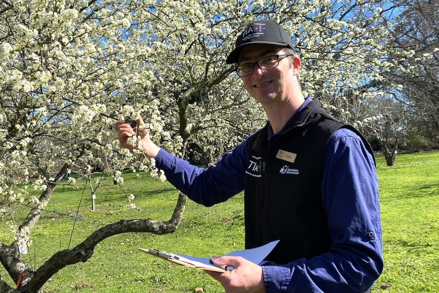 Justin Cappadonna stands in front of a flowering apple tree.