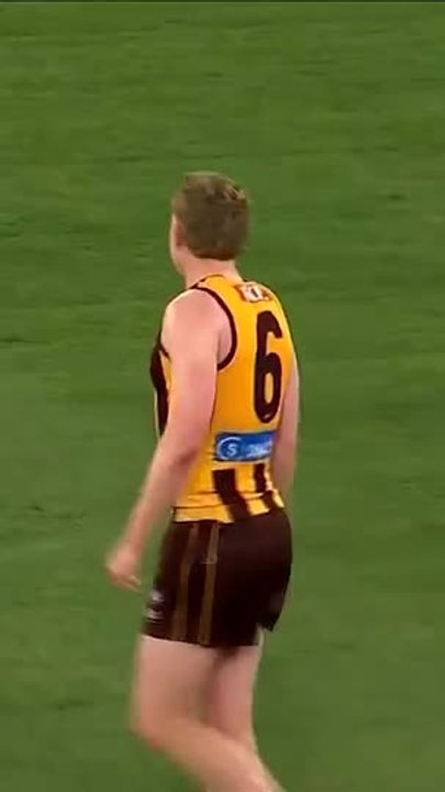 Hawthorn captain in ugly umpire exchange
