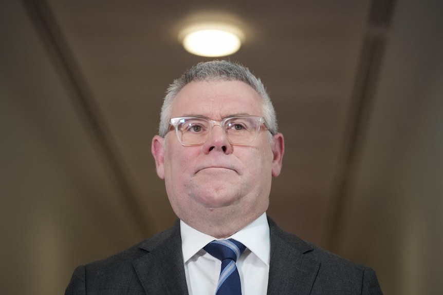 Murray Watt frowns.