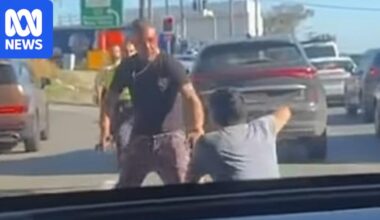 Good Samaritan says alleged carjacker lunged at him with knife after chase in Sydney's south-west