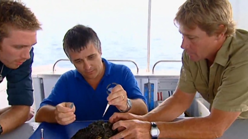 Three men around a sea creature on a boat