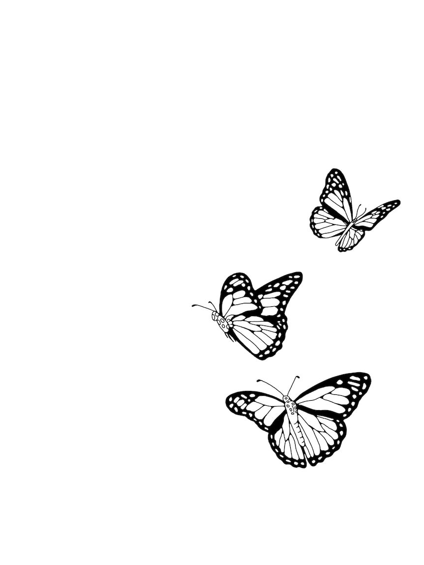 A black-and-white illustration from a book of three butterflies in flight, each moving in a different direction.