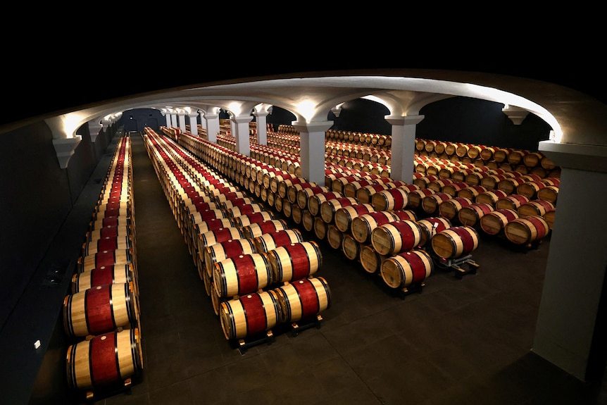 A vast number of wine barrels lines and stacked in an enormous cellar.