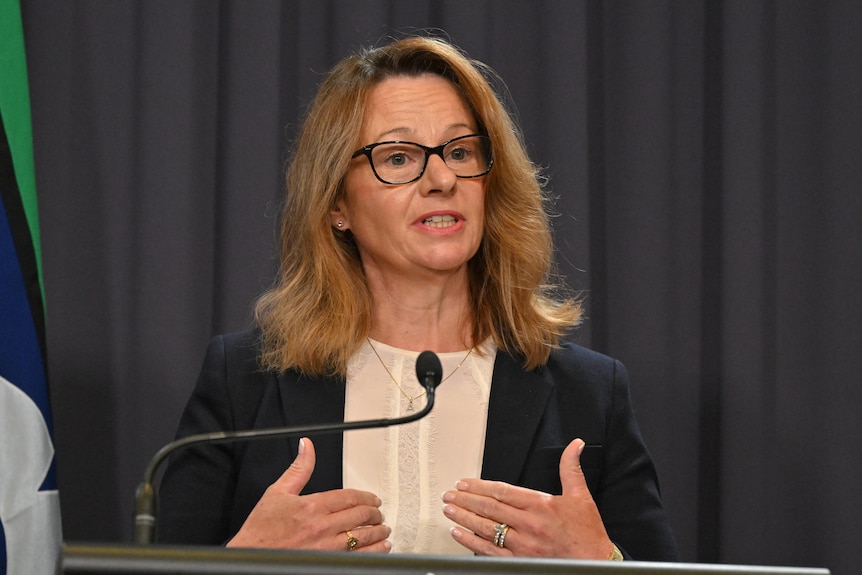 A white woman with brown hair and glasses talking at a press conference