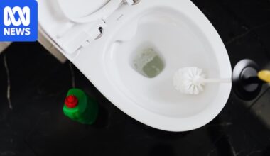 How to remove stubborn stains in your toilet