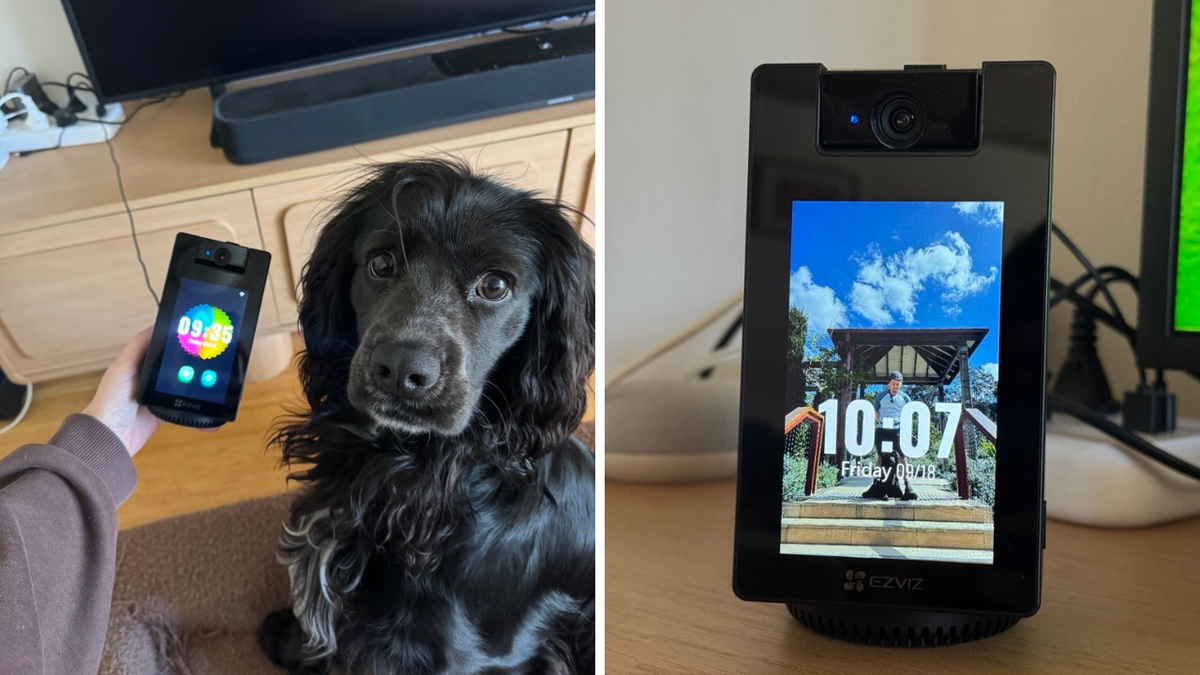 Best EZVIZ indoor security camera for pets doubles as a Bluetooth speaker and digital photo album