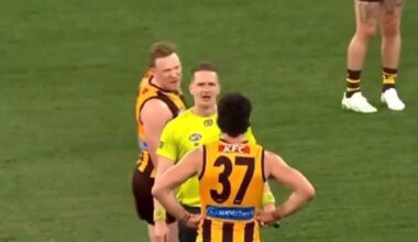 AFL 2026: Umpire Hayden Meyer reveals he “felt threatened” by Hawthorn stars as ugly scenes erupted