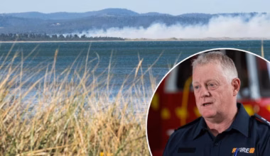 Tasmania fire crews battle 70 blazes as 100km/h winds lash state - themercury.com.au