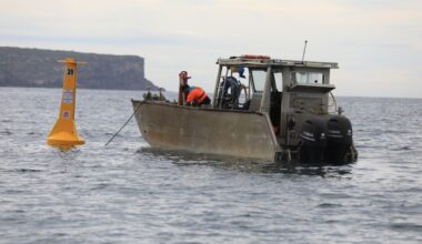 New South Wales to roll out new shark management technology for summer, reinstate nets at 51 beaches