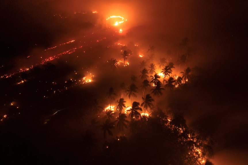 A drone view shows wildfires burning in a palm oil plantation at night.