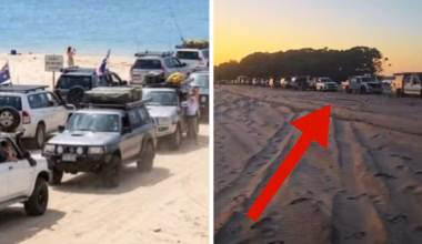 ‘Ridiculous’ K’gari ferry queues filmed as dingo warning issued