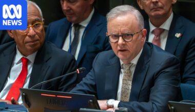 Federal politics live: Albanese to urge world leaders to band together on AI