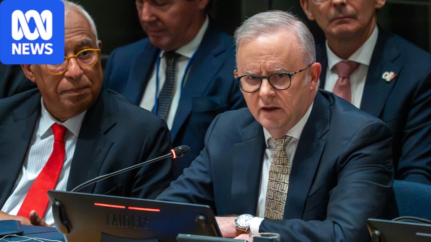 Federal politics live: Albanese to urge world leaders to band together on AI