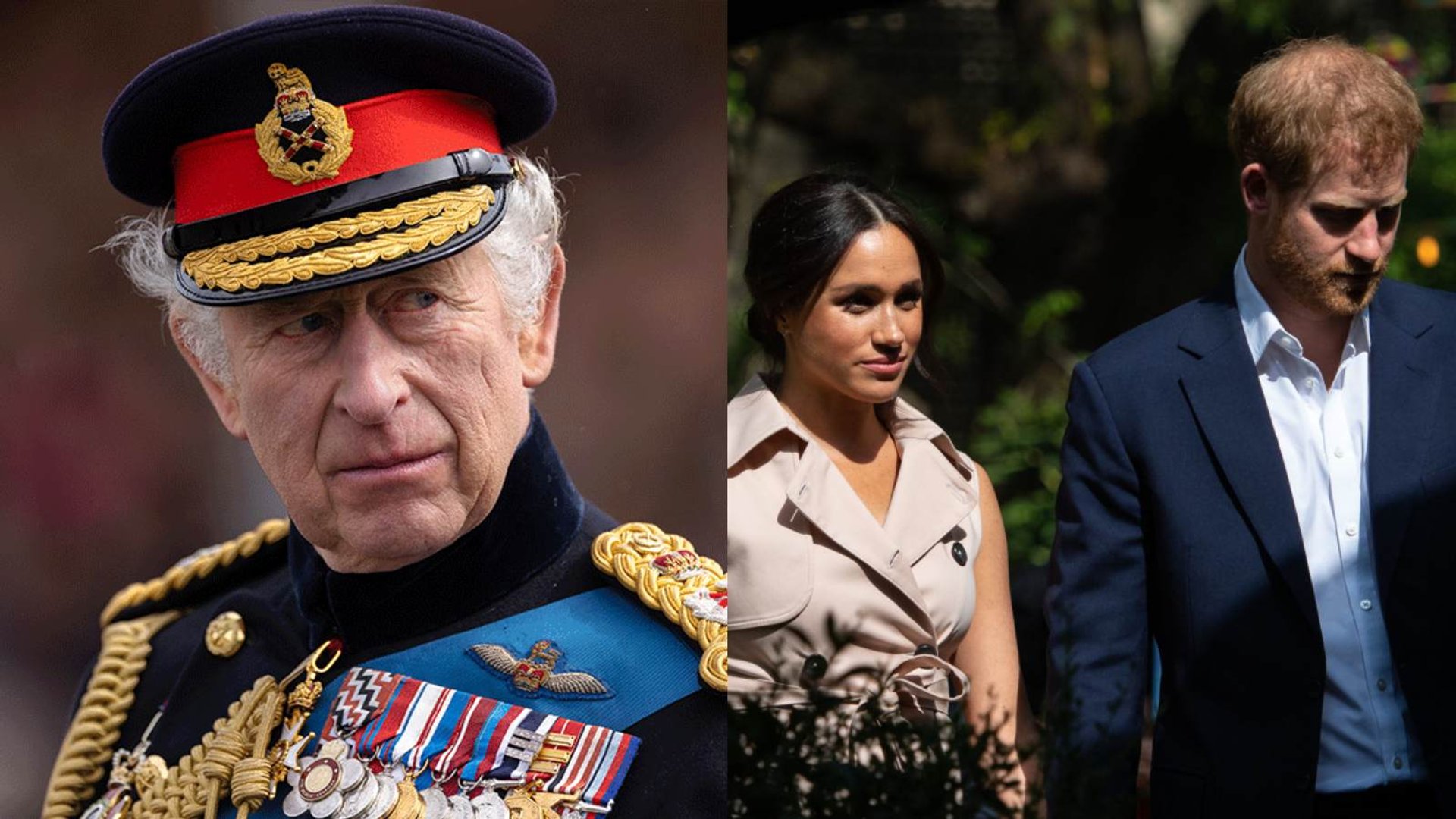 ‘You’re ordinary people’: Sussexes roasted after King's brutal reminder