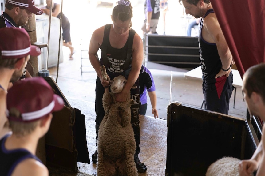 Nicki Guttler holds a sheep upright, while people watch on.