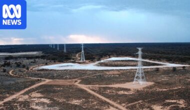 Energy regulator rejects Transgrid's billion-dollar bailout bid