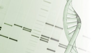 DARPA funds project to build wireless yeast DNA printer