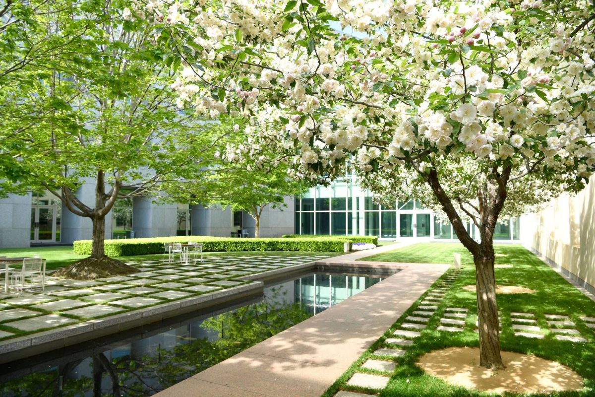 Spring at Parliament House