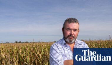 ‘We can’t ride this storm’: the English farmers facing uncertainty after sustainability funding runs dry | Farming