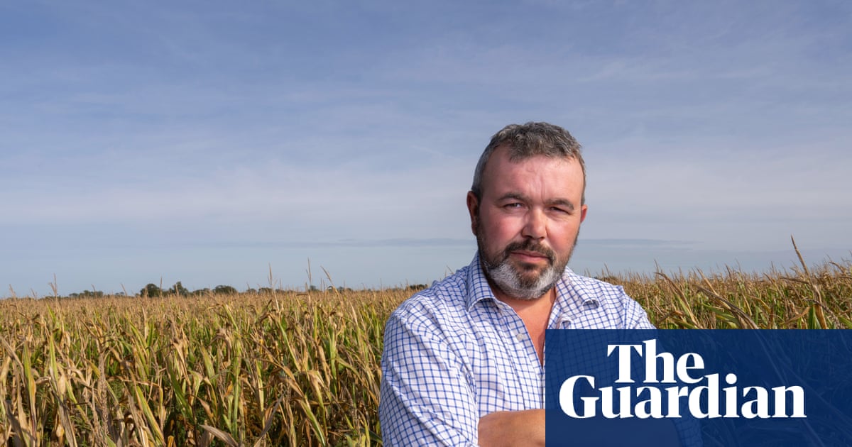 ‘We can’t ride this storm’: the English farmers facing uncertainty after sustainability funding runs dry | Farming