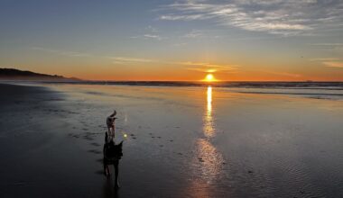IHC photography competition: Alice Insley wins people’s choice award
