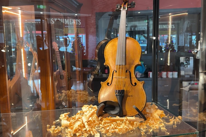 Image of a violin in a music case, surrounded by wood shavings.