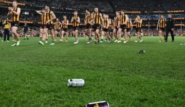 AFL to hit bottle throwers with years-long stadium ban after preliminary final furore