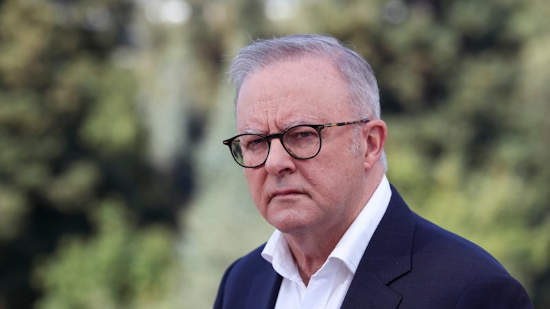 Australia news LIVE: PM launches UN Security Council bid, calls for international safeguards on AI; US TV networks refuse to cover Trump press events after White House media ban