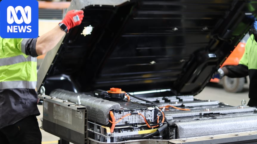 Rising popularity of electric vehicles sparks calls for waste management sector to keep up