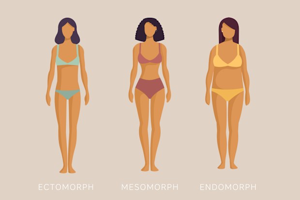 Ectomorph, mesomorph, endomorph. Woman in underwear three different kinds of body sizes and types of figure. Female body constitution. Cartoon vector illustration in flat design style.
