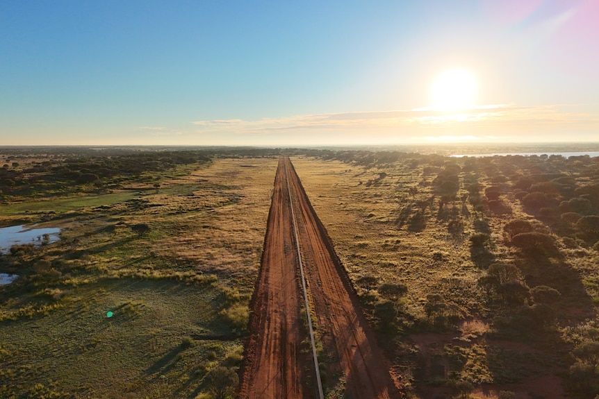 A drone photo of the Wild Deserts Exclosure fences. Red dirt roads either side go straight to the horizon, as the sun sets.