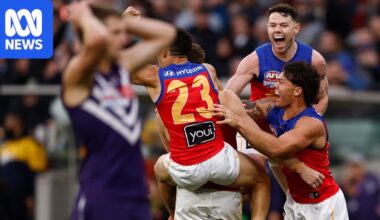 Brisbane's belief sparks cruellest Fremantle collapse in AFL grand final's most visceral day