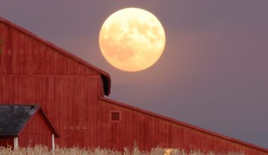 Harvest Moon. Credit: srbeckle / Getty Images