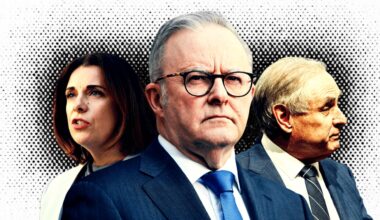 ‘We must regulate the internet’: Special Minister of State Don Farrell makes stunning admission about new laws