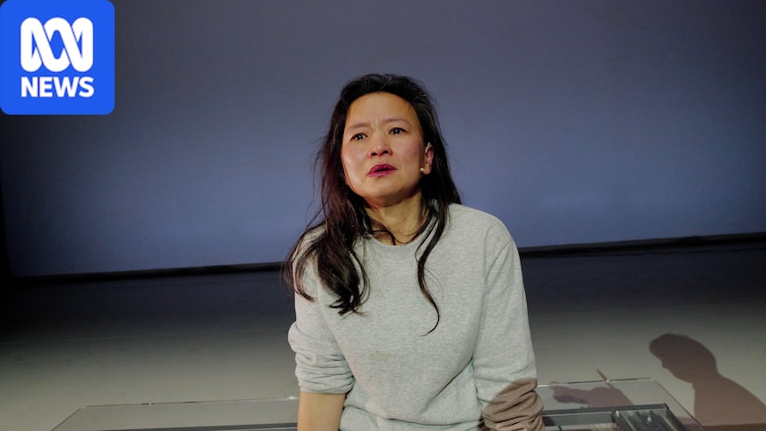 TV anchor Cheng Lei spent three years in a Chinese jail. At home her sentence continues