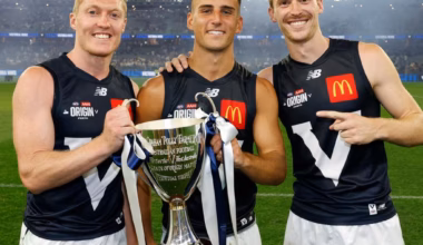 Pies circle Suns gun, key Swan picks Blues, Hill open to return - heraldsun.com.au