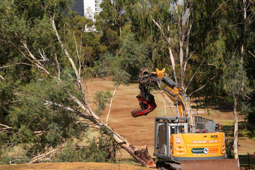 A yellow excavator next to a sloping tree