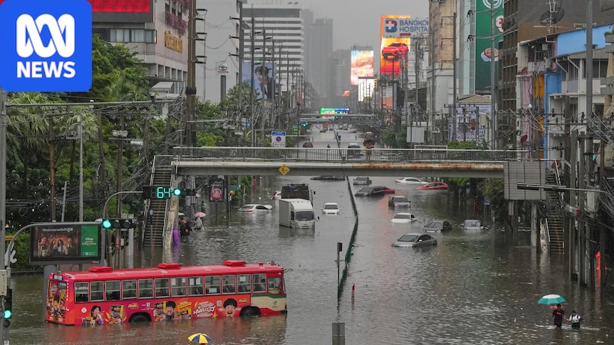 Bangkok declared disaster zone after heavy rain floods homes, submerges roads