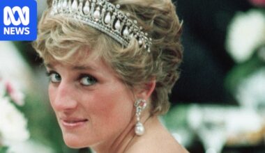 Palace hits back over Charles Spencer's claim about Princess Diana