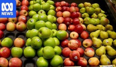 Australian apple growers fear economic and biosecurity wipeout as United States eyes market