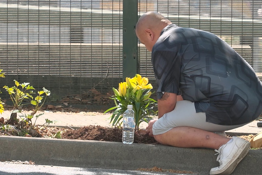 a man plants yellow flowers under a tree at the location where a police officer his daughter died in a crash