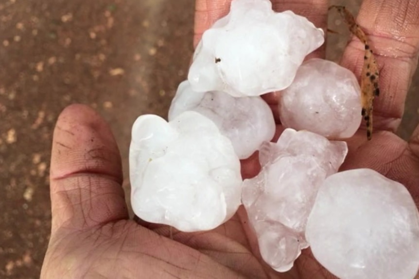 Six large hailstones in the palm of a hand