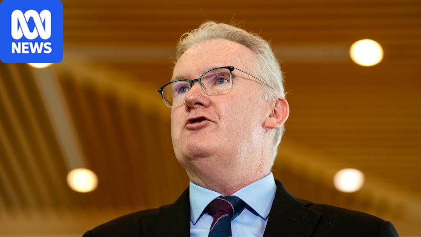 Labor to unveil delayed migration overhaul targeting temporary visas