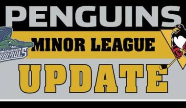Minor league report: Penguins’ preseason opener canceled