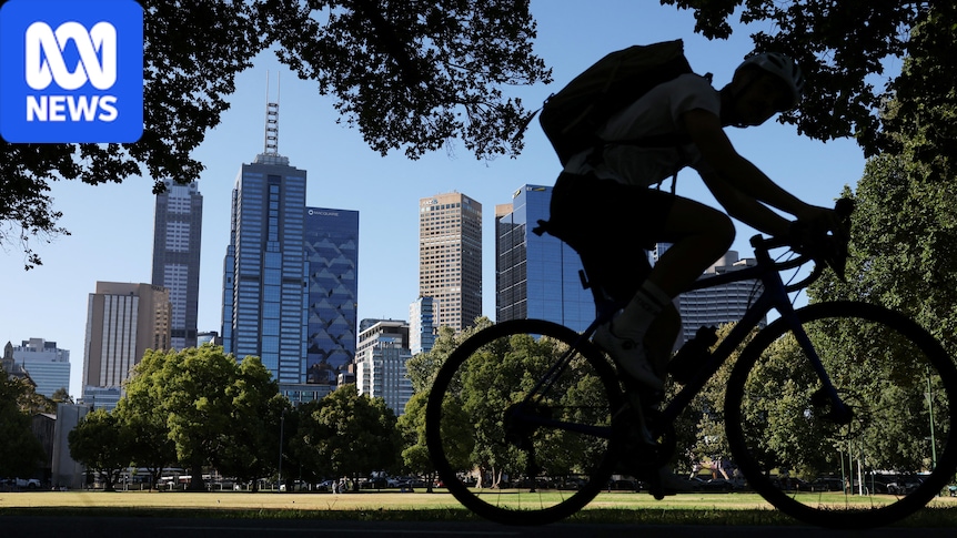 Active hayfever season likely in Victoria after warm, wet winter