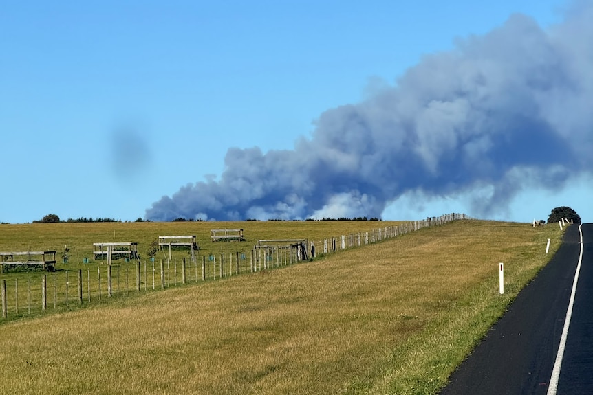 A column of smoke rises from the horizon of a green paddock.