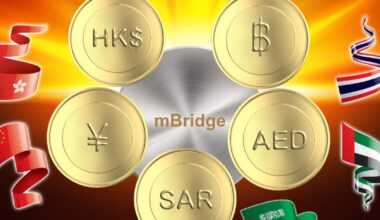 Oil-rich Gulf kingdom exits China-led digital currency platform as Africa deepens its yuan payment links