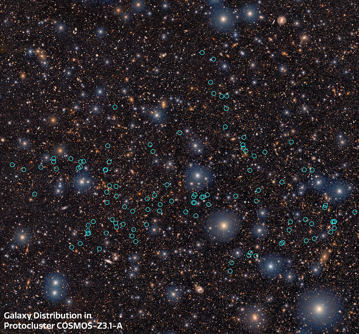The region of the sky where galaxy proto-supercluster COSMOS-z3.1-A is located. Light blue circles represent galaxies that are confirmed members of COSMOS-z3.1-A. Credit:
CTIO/NOIRLab/DOE/NSF/AURA. Image Processing: T.A. Rector (University of Alaska Anchorage/NSF NOIRLab), M. Zamani & D. de Martin (NSF NOIRLab)