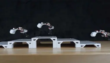 tiny robot